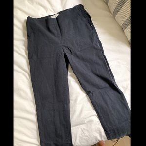 Everlane Pull On Work Pants